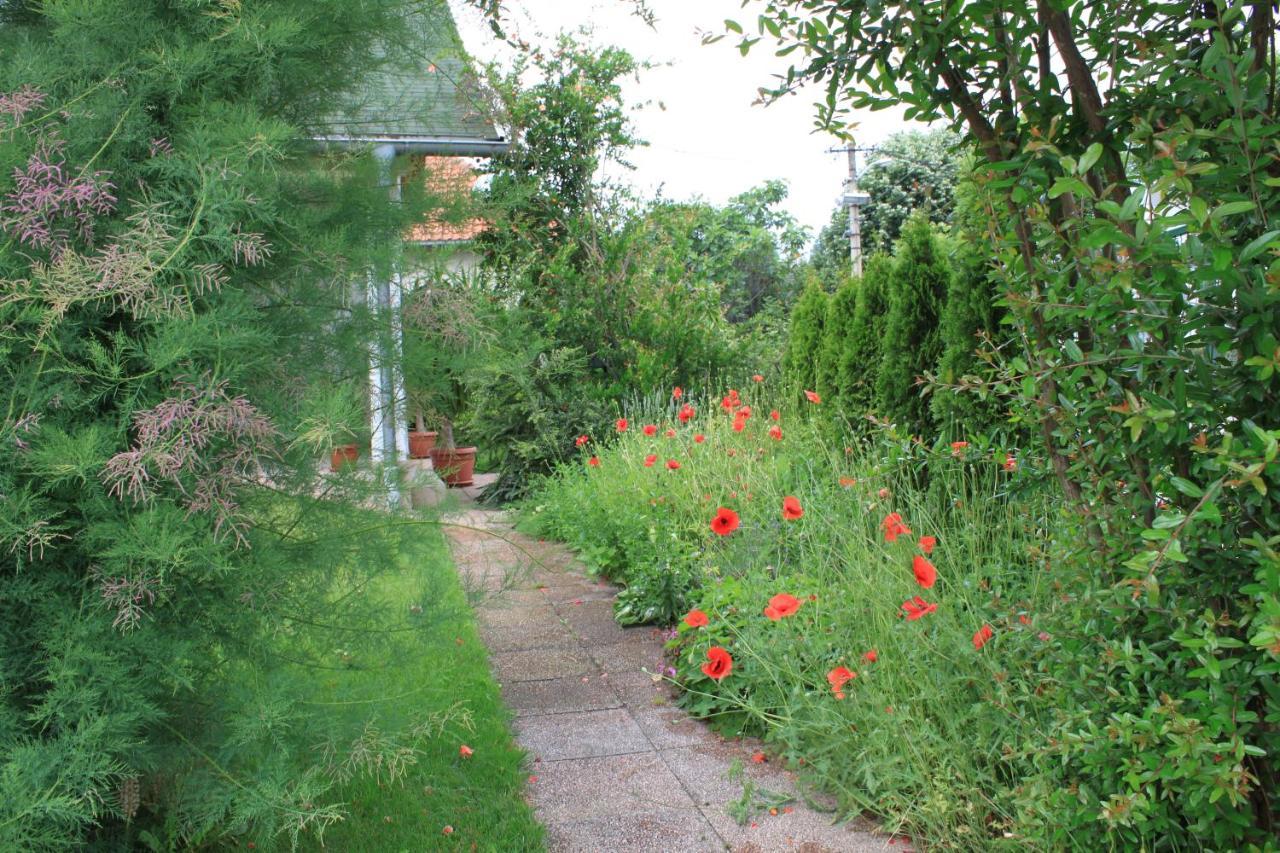 Boulevard Garden House - Free And Save Parking In The Locked Yard Cuprija Bagian luar foto